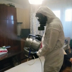 Дезинфекция от клопов в Северобайкальске