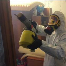 Уничтожение клопов в квартире. Северобайкальск
